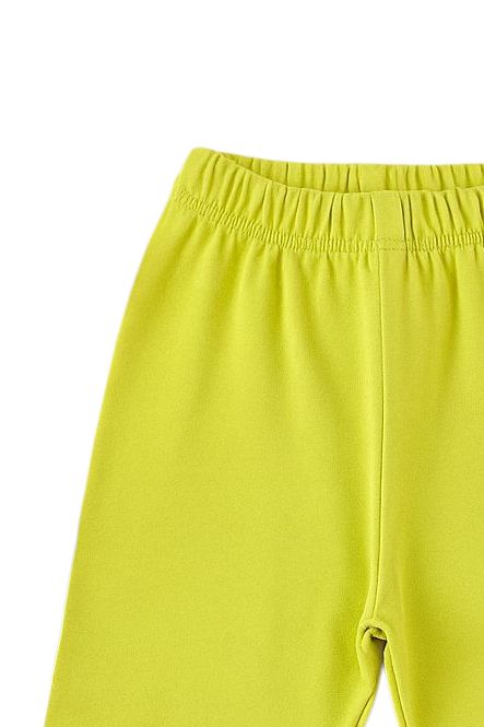 ORANGE BASIC PEAR COTTON TIGHT